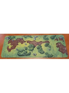 Playmat Field 52 x 20 cm_7218